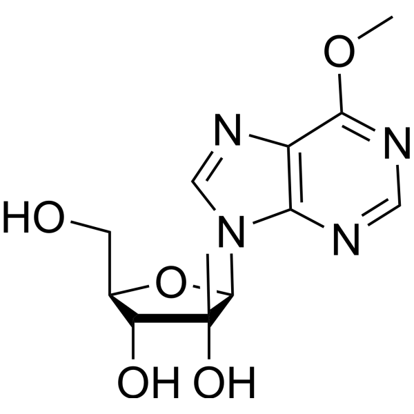 2′-C-Methyl-6-O-methylinosine 565450-78-4